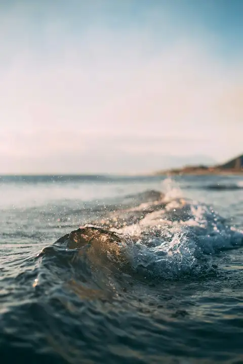 Celebrate Life by the Sea